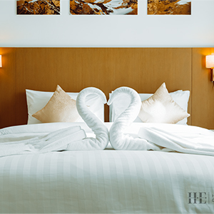 Premium One Bedroom
